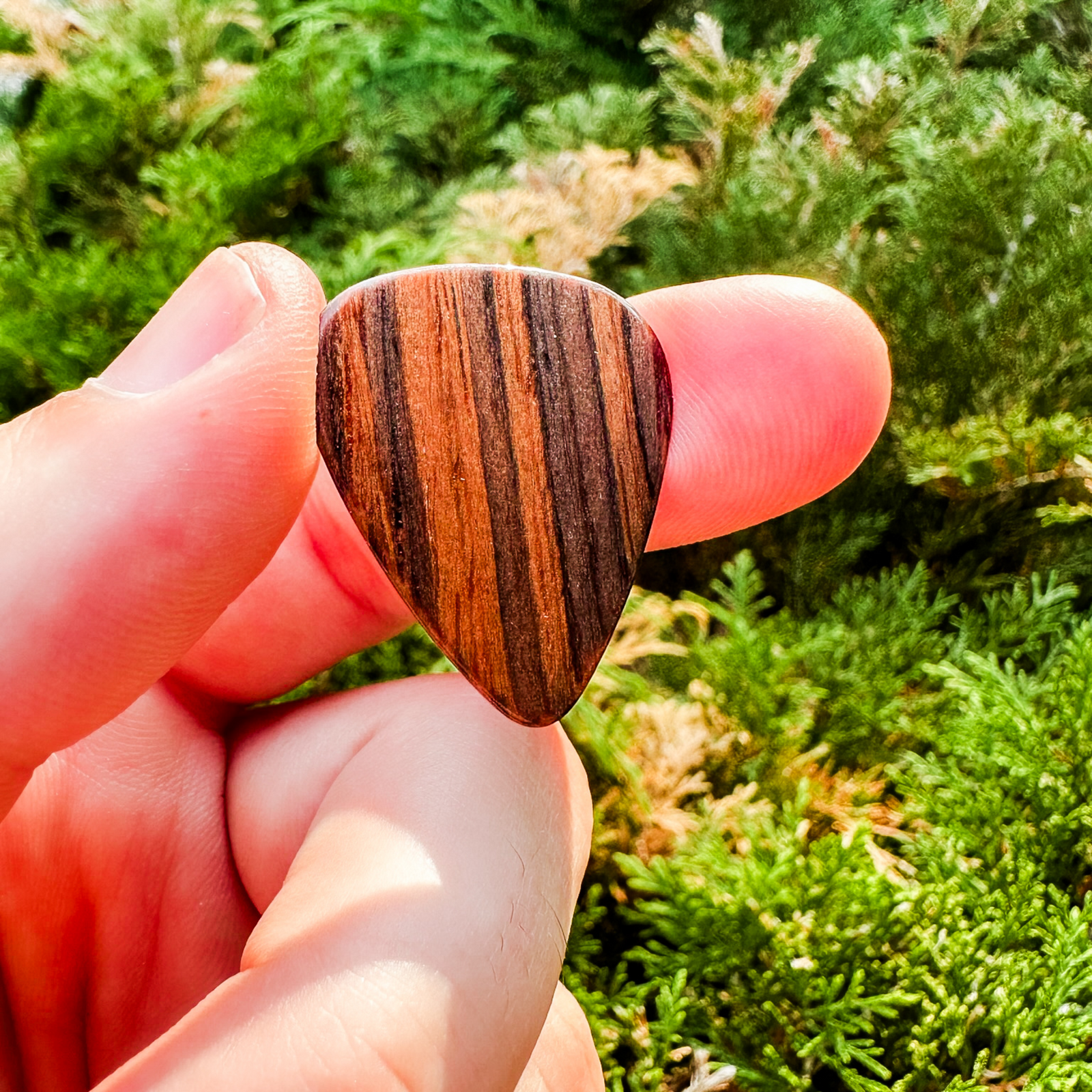 A Guitarist's Honest Review of Thalia Wood Picks
