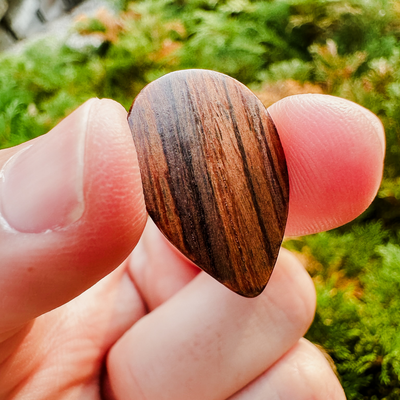 358 Shape | Rosewood 3.0 Pick Pack