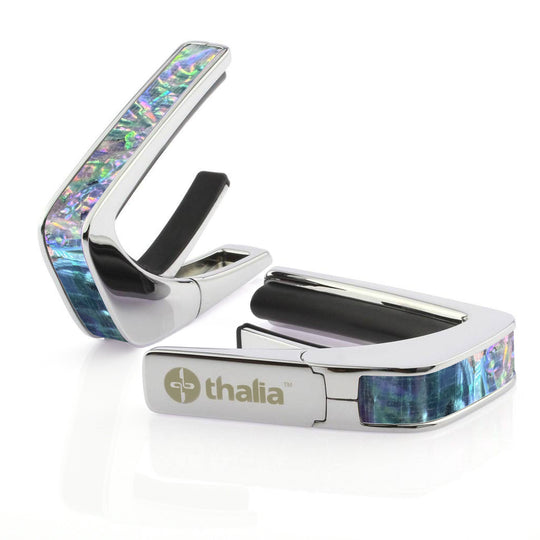 Prism Abalone | Capo