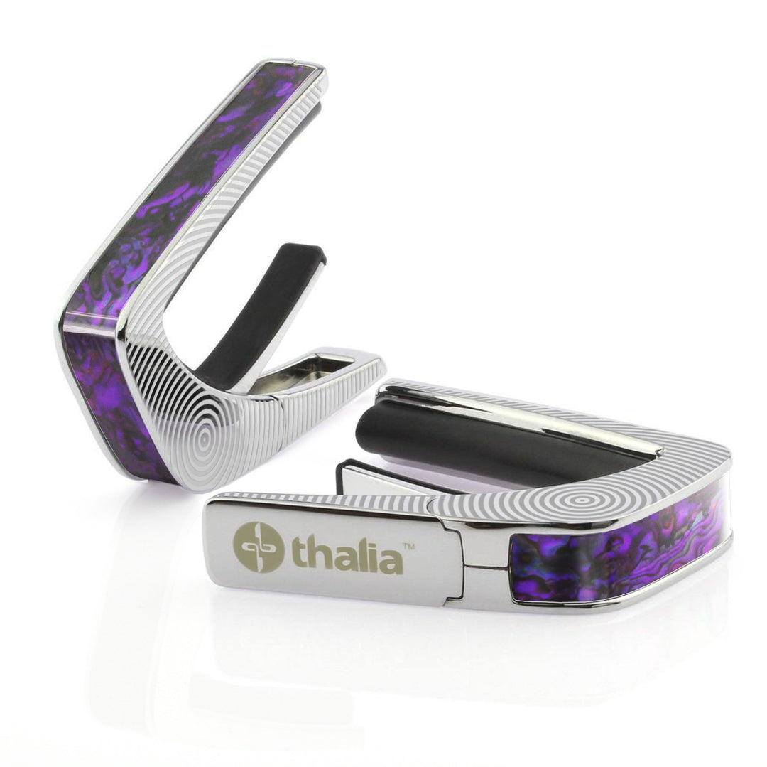 Purple Paua | Capo