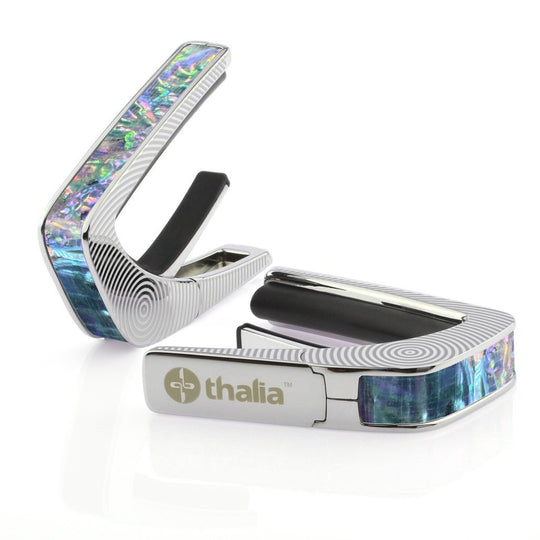 Prism Abalone | Capo