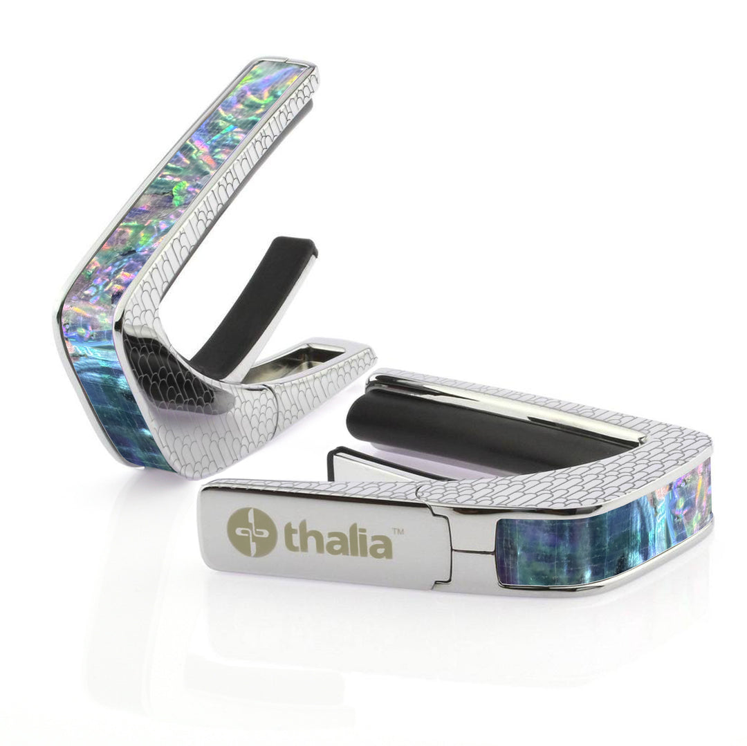 Prism Abalone | Capo