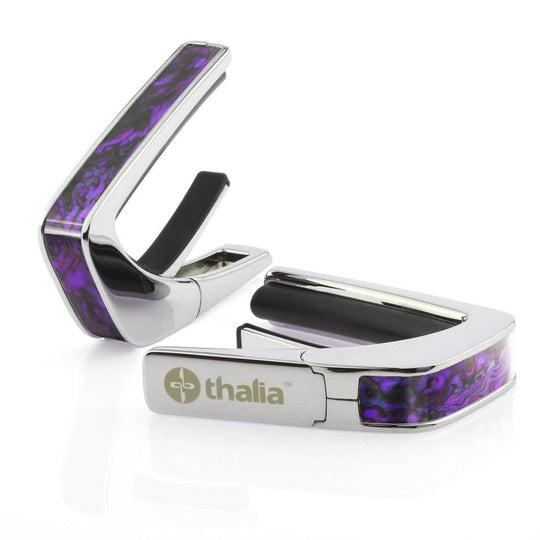 Purple Paua | Capo