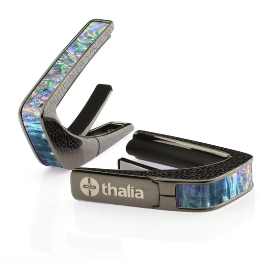 Prism Abalone | Capo