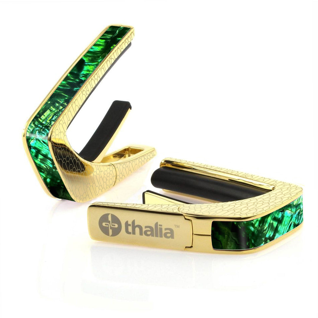 Emerald Green Abalone | Capo