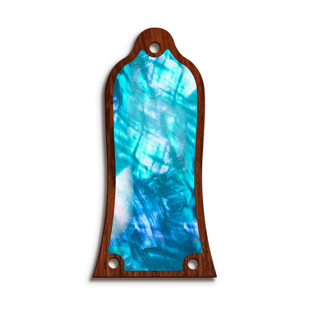 Epiphone TR10 | Truss Rod Covers