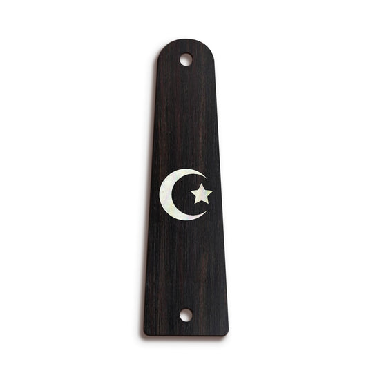 Taylor TR14 | Truss Rod Covers