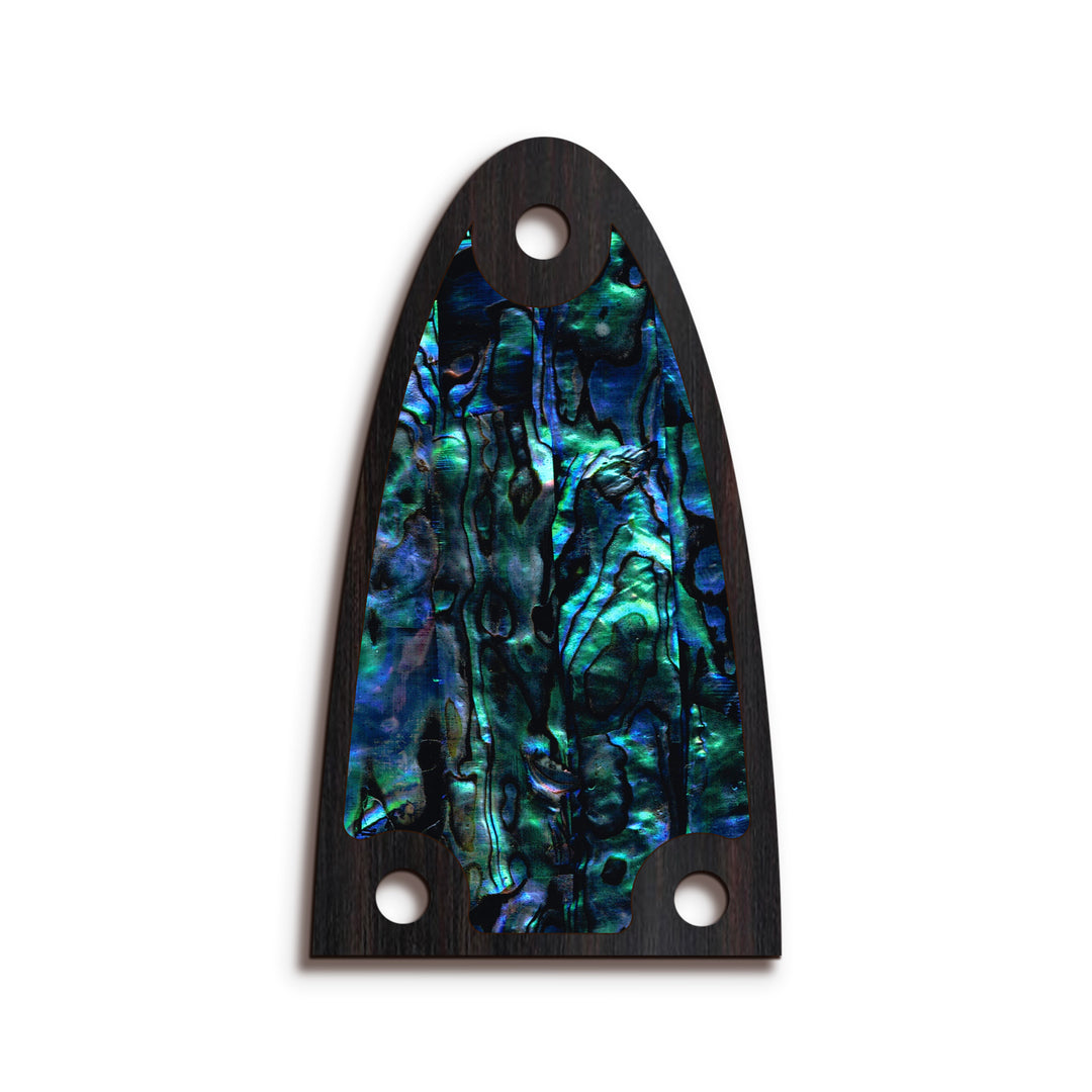 Alvarez TR26 | Truss Rod Covers