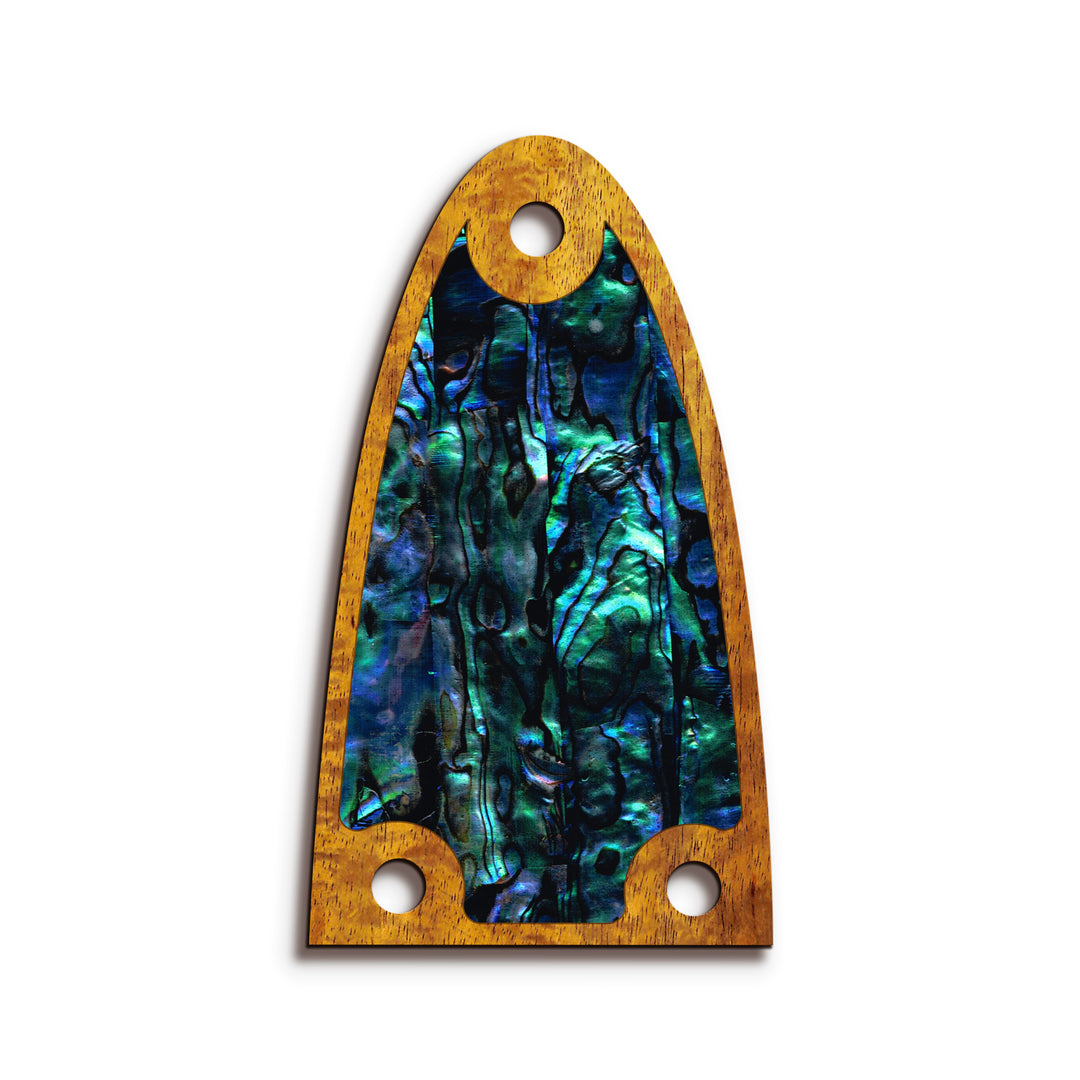 Alvarez TR26 | Truss Rod Covers