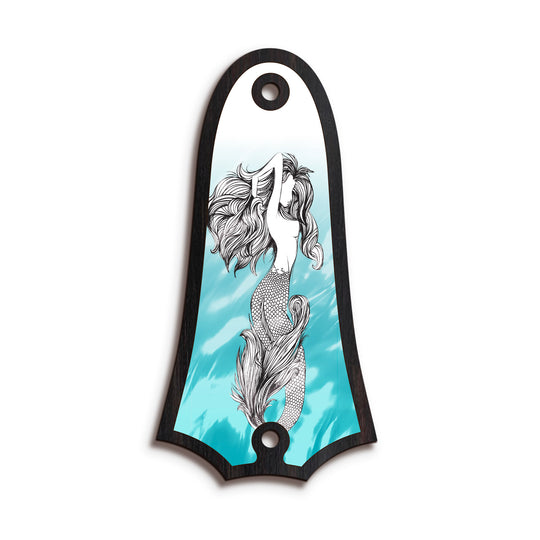 Taylor TR4 | Truss Rod Covers