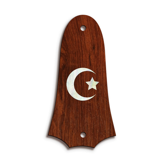 Taylor TR4 | Truss Rod Covers