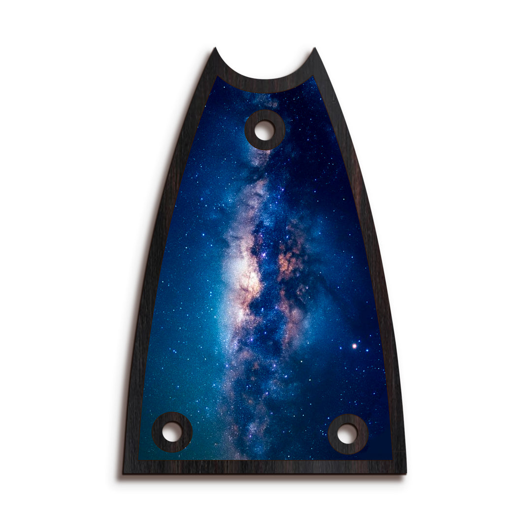 Epiphone TR7 | Truss Rod Covers