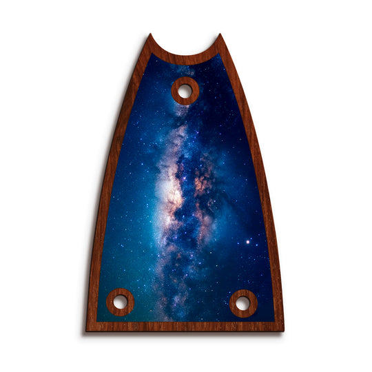 Epiphone TR7 | Truss Rod Covers
