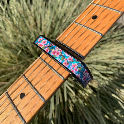 B-STOCK Capo | Limited Edition