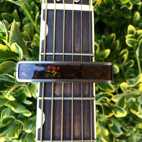 Thalia Capo Kentucky Bourbon Abalone | Capo